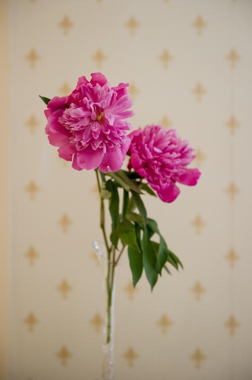 Hotel Imperiale By Omnia Hotels Rome Bagian luar foto